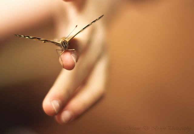 在线DDOS攻击平台